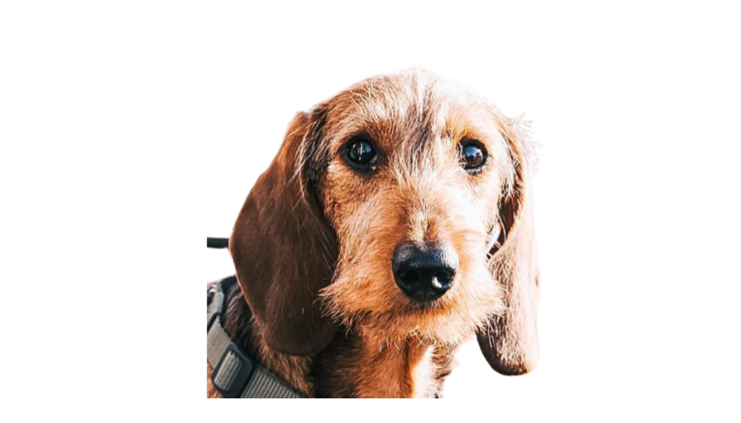 Arthur